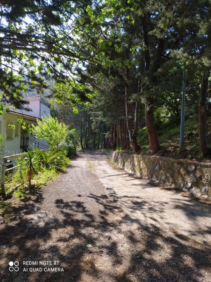 Casa En Plena Naturaleza Attcc00637 Valdecanas de Tajo エクステリア 写真