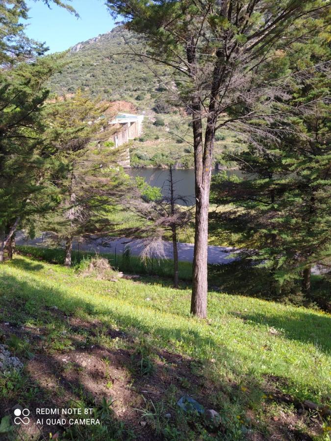 Casa En Plena Naturaleza Attcc00637 Valdecanas de Tajo エクステリア 写真