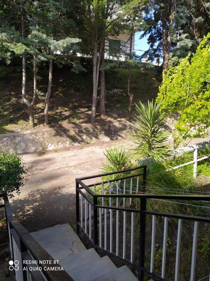 Casa En Plena Naturaleza Attcc00637 Valdecanas de Tajo エクステリア 写真